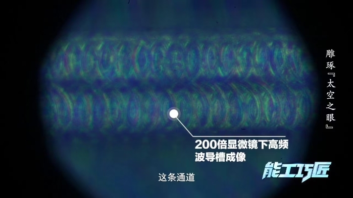 张志忠5 张志忠5