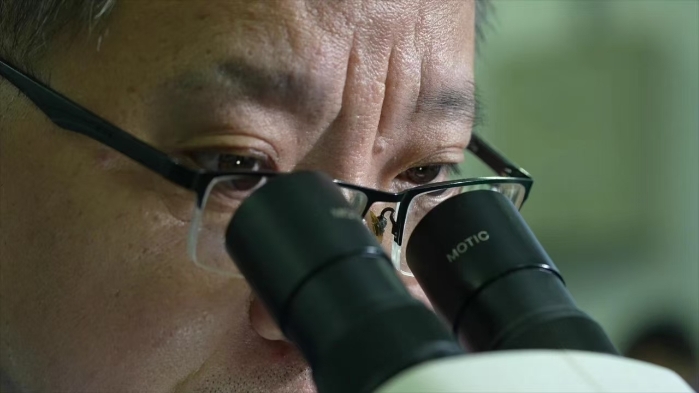 张志忠9 张志忠9